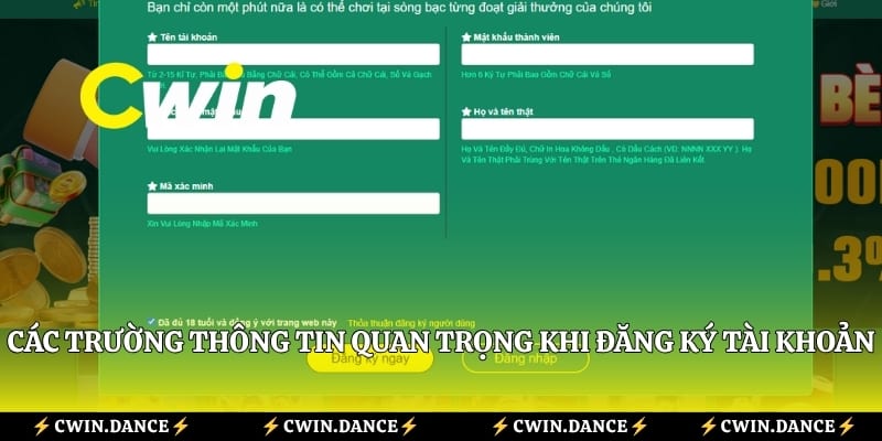 Các trường thông tin quan trọng khi đăng ký tài khoản